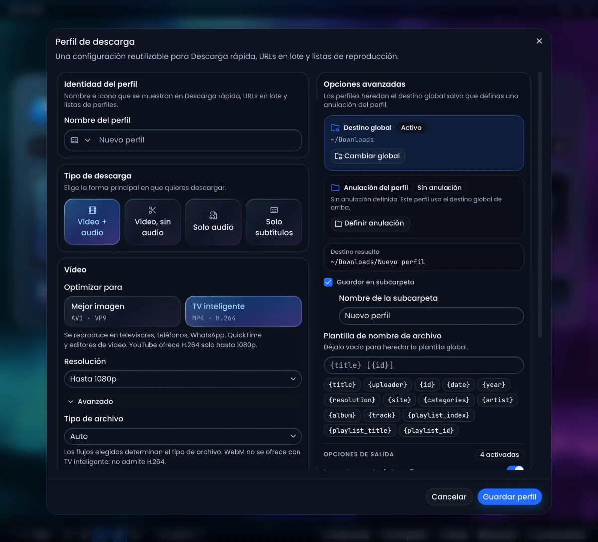 En Arroxy, el editor Perfil de descarga: nombre del perfil, tipo de descarga, Mejor imagen o TV inteligente, resolución, carpeta de destino y plantilla para nombrar archivos