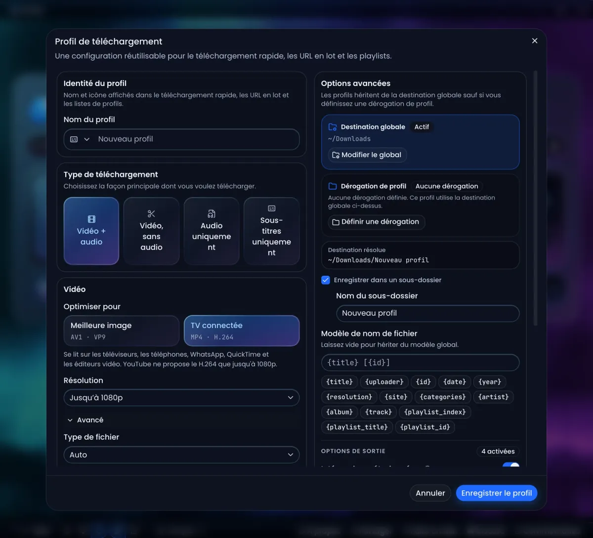 L’éditeur Profil de téléchargement d’Arroxy : nom du profil, type de téléchargement, Meilleure image ou TV connectée, résolution, dossier de destination et modèle de nom de fichier